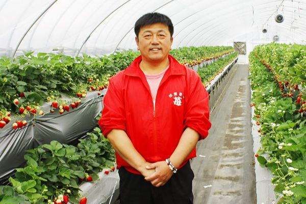 相葉苺園 園主 相葉英樹